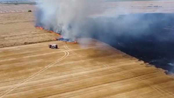 Incendiu de vegetație în Timiș. Peste 20 de hectare au fost mistuite de flăcări
