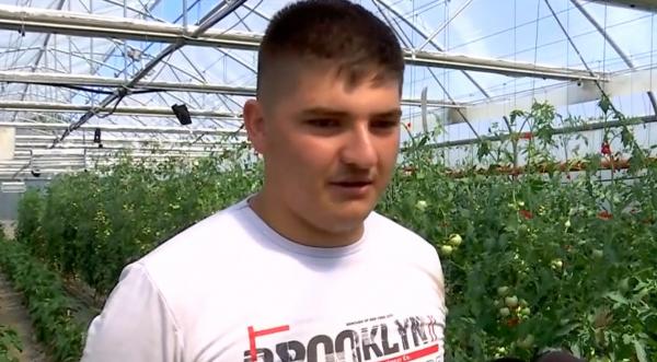 Liceul unde elevii cresc legume. Povestea tinerilor fermieri din Seini