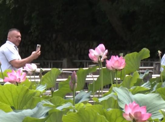 Spectacol al naturii unic în Europa, la Băile Felix. Sute de mii de turişti vin în acest colţ de paradis