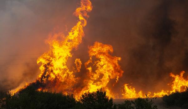 Incendii devastatoare în Bulgaria, provocate de doi piromani. Vor fi judecaţi pentru terorism