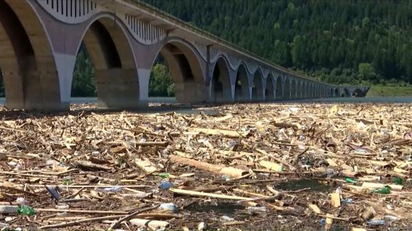 Risc epidemiologic pe lacul Bicaz, în Neamţ. Viiturile au adus tone de bușteni, animale moarte și deşeuri