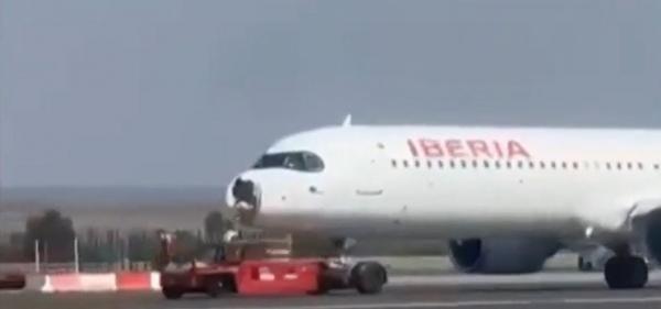 Un avion care a decolat din Madrid, aterizare de urgenţă după ce a lovit un vultur. Urma să ajungă la Paris