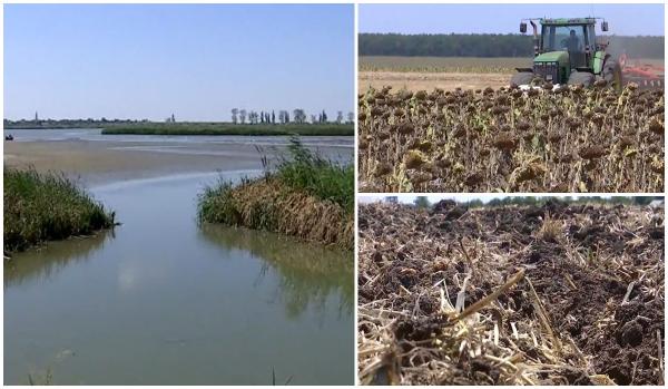 Al 7-lea cod roşu de caniculă din ultimele săptămâni a adus temperaturi de foc. Culturile, afectate de secetă