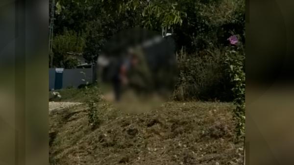 Femeie din Bacău, bătută cu parul de soţul orbit de furie. Scena a fost filmată de o vecină