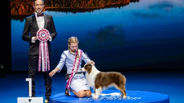 O româncă are cel mai frumos câine din lume