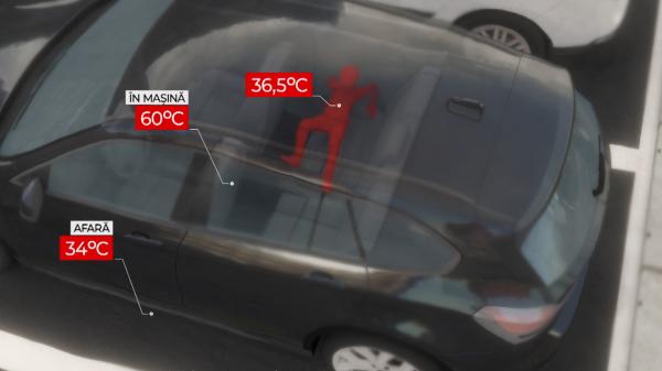 ANIMAŢIE. Danir a murit, după cinci zile de agonie. Cum s-a transformat o vacanţă de vis într-un coşmar