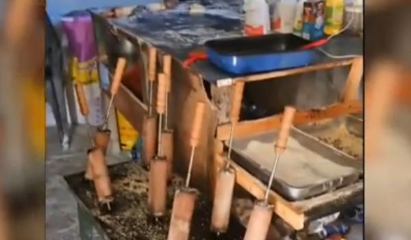 Alimente confiscate la Eforie: porumb și kurtos, preparate în spații insalubre