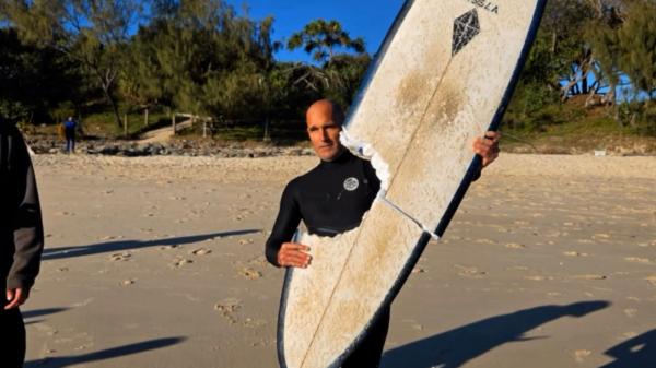 Miracol în Australia. Un surfer a scăpat nevătămat după ce un rechin alb i-a zdrobit placa în două 