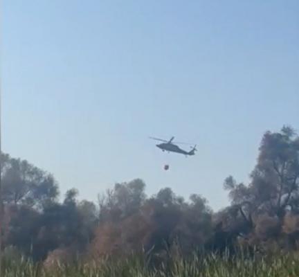 Incendiu de vegetaţie în Delta Dunării. Zeci de hectare au fost înghiţite de flăcări