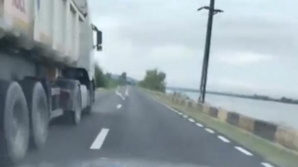 "Ce faci, bă, milogule?" Momentul în care un şofer trece cu camionul peste o lebădă: reacţia Poliţiei
