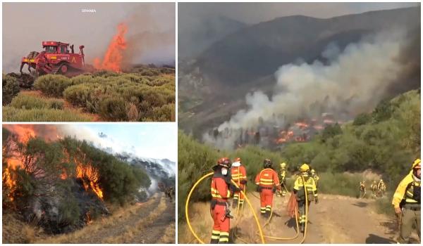 Drame de proporţii în Spania după incendiile de vegetaţie. 23 de persoane, suspectate că au provocat dezastrul