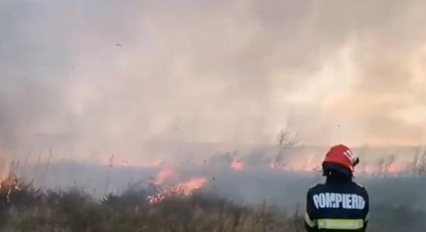 Incendiu puternic de vegetaţie în Tulcea. Aproximativ 15 hectare de vegetaţie uscată au fost pârjolite de foc