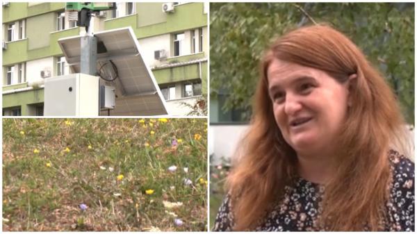 Proiect de 1 milion €, salvator pentru alergicii din România, blocat din lipsă de bani. Aerul e tot mai toxic
