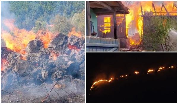 Incendiile de vegetaţie au făcut prăpăd în mai multe localităţi din ţară. Zeci de hectare, afectate de foc