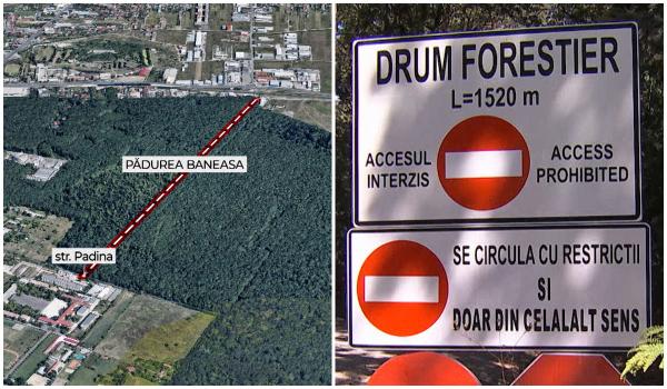 Război între Greenfield şi ONG-uri pe drumul forestier din Pădurea Băneasa. "Precedent extrem de periculos"