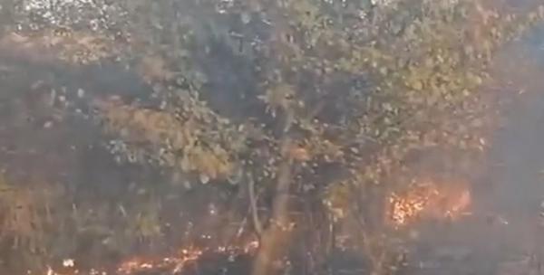 Incendiu uriaș în Vaslui. 50 de hectare de pădure și vegetație uscată, mistuite de flăcări