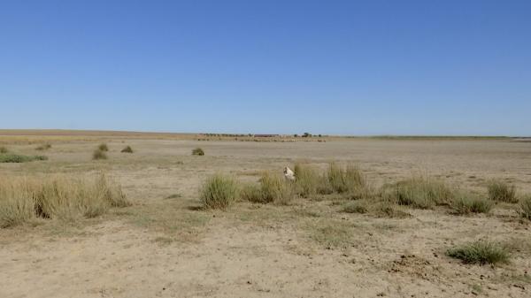 Lacul care a secat în proporţie de 98%. Peştii şi crustaceele au dispărut