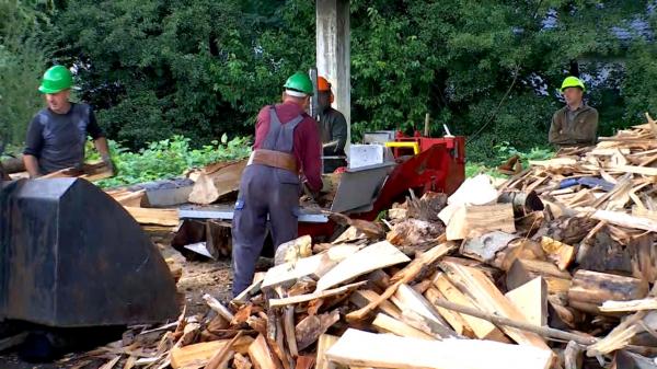 Cât a ajuns să coste un metru cub de lemne. Românii se grăbesc să-şi facă provizii pentru sezonul rece