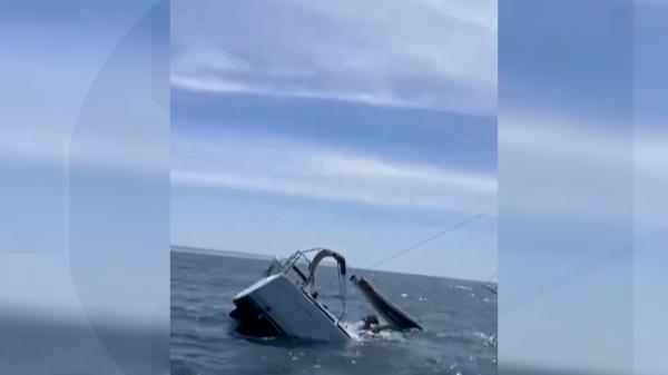Un iaht s-a scufundat în largul coastelor Lisabonei. A fost lovit de balene ucigaşe