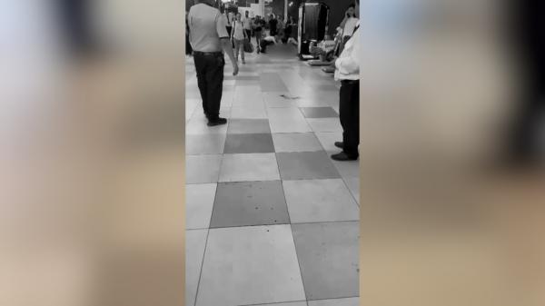Incident şocant în Bucureşti. Un bărbat şi-a înjunghiat rivalul într-un centru comercial plin de oameni