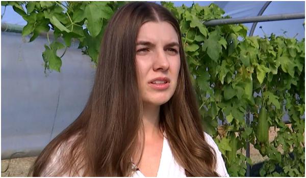 Producătorii români au dat lovitura cu o legumă adusă din Uzbekistan. Se vinde cu până la 30 de lei bucata