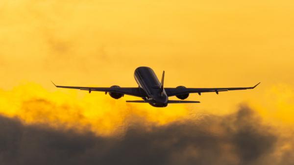 Anglia a deportat 47 de infractori români. Le-au dat câte 2.000 de lire pe carduri