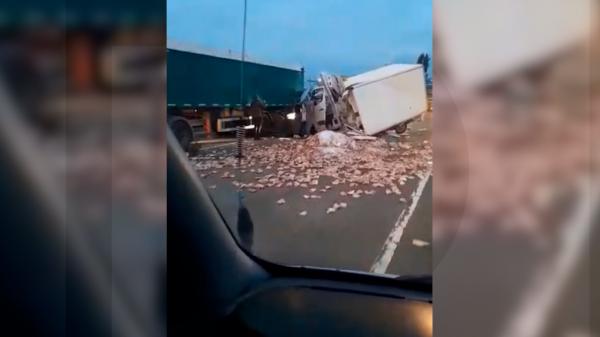 Imaginile cu camionul de pui răsturnat pe DN2, între Roman și Bacău