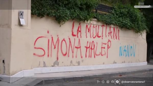 Gardul palatului lui Gigi Becali, vandalizat. Ce amendă a luat făptaşul