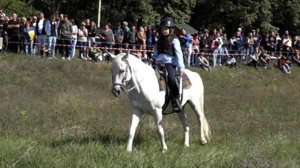 Spectacol de echitaţie în judeţul Mureş. Spectatorii, fascinaţi de frumusețea, viteza și grația caiilor