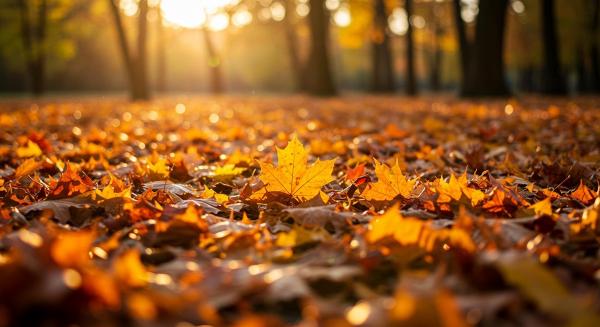 Ce este astenia de toamnă. Care sunt principalele simptome și când trebuie să mergi la doctor