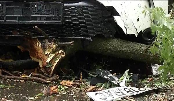 Ce opțiuni au bucureștenii care s-au trezit cu mașinile distruse de furtună