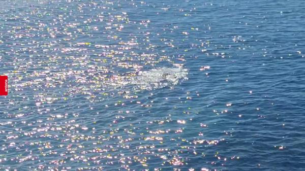 Imagini inedite la Constanţa: un curajos, surprins făcând baie în Marea Neagră la doar 13 grade Celsius