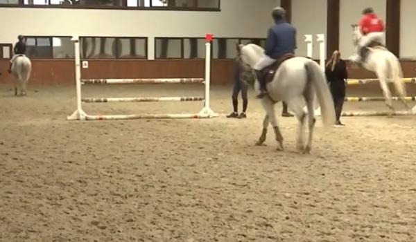 Românii, tot mai pasionați de echitație. Caii fac spectacol la Cluj