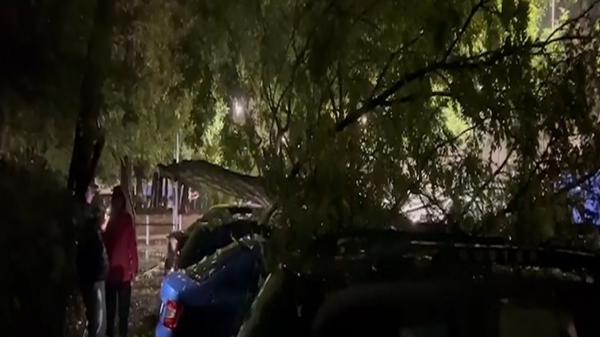 Zeci de mașini distruse de furtună în Capitală. Ce trebuie să facă şoferii ca să fie despăgubiţi