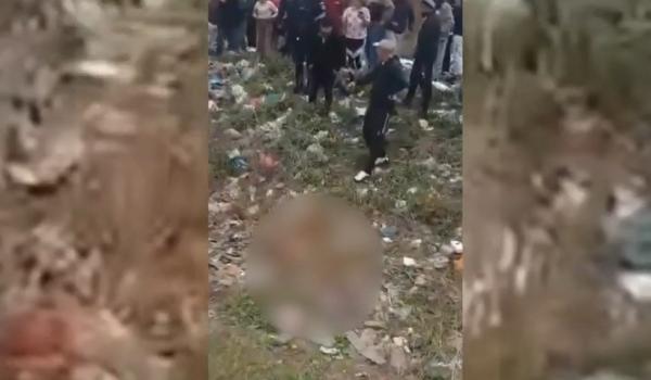 Copil de trei ani din Vrancea, ucis de câini. Micuţul ieşise din curte fără ca cineva să-l observe