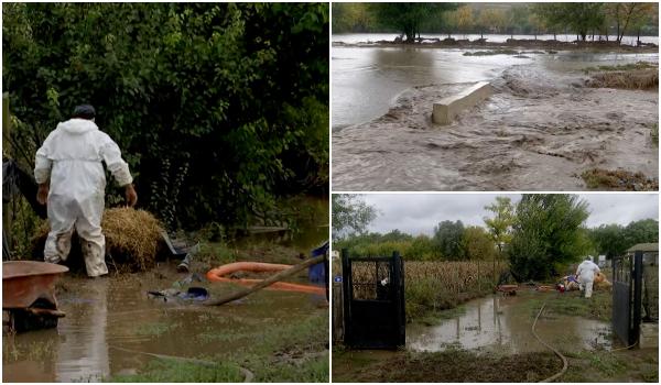 O comună din România, transformată în "lac" după ploile din ultimele zile. Case inundate și pagube uriașe