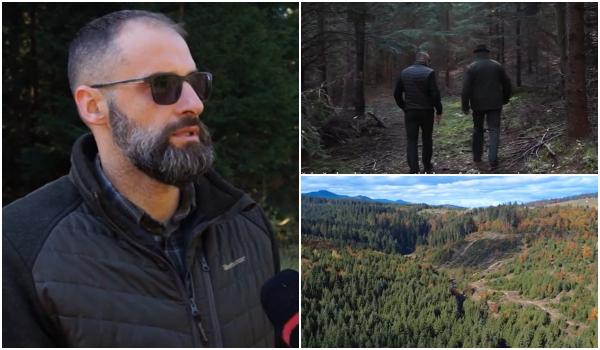 Măsura prin care silvicultorii ar putea fi protejaţi de hoţii de lemne. "Am avut ultraj, ameninţări"