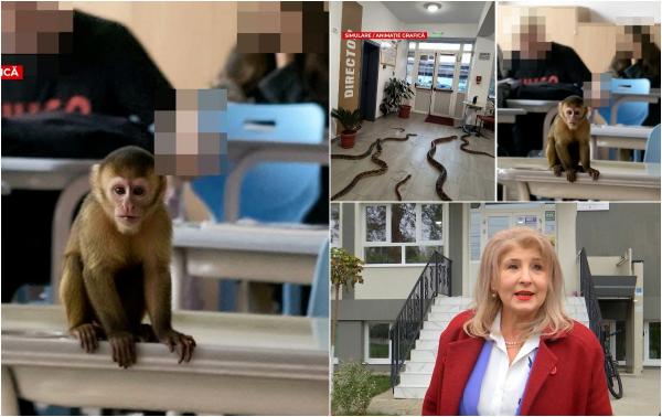 Elevii care au folosit AI pentru a-şi păcăli profesorii că au maimuţe în şcoală. "Diriginta chiar a crezut"