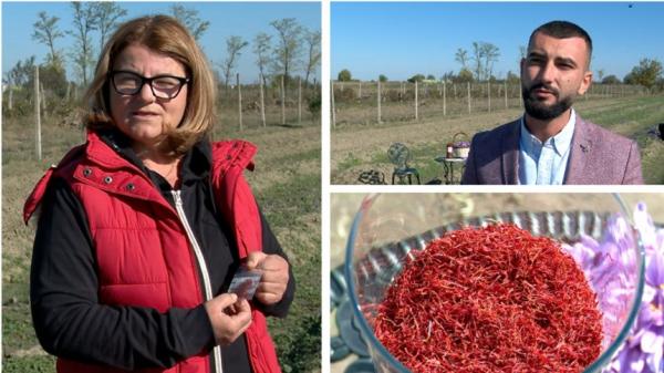 Afacerea cu care Dorina şi Claudiu au dat lovitura: câştigul e uriaş. Preţul unui kg de "aur roşu"