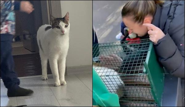 Tomiţă a fost salvat. Momentul emoţionant al revederii cu stăpâna, după ce a fost scos din blocul din Rahova