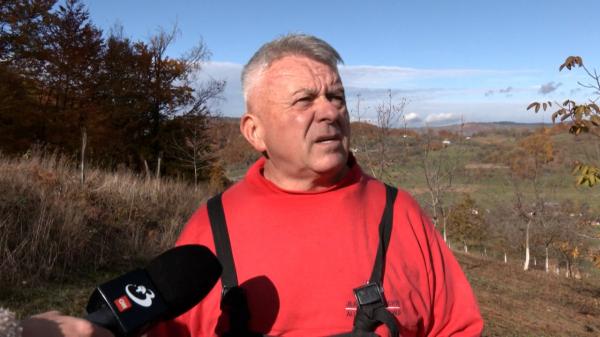 Fructul care a devenit o marfă rară. Miezul se vinde cu 50-55 de lei kilogramul