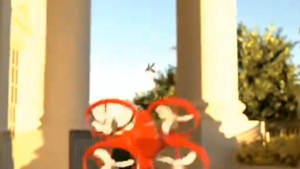 Inginerii americani au creat o dronă care "vânează" țânțari folosind inteligență artificială