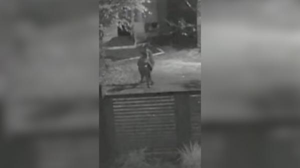 Momentul când bărbatul din Teleorman o urmăreşte şi o ucide pe Mihaela în faţa copilului lor