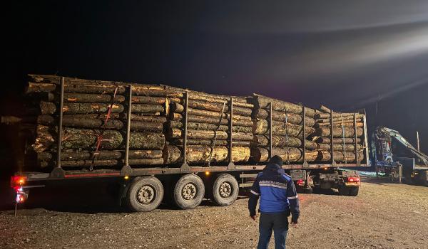 Transport ilegal de lemne, oprit de jandarmi în Rânca. 38 de metri cubi de lemn "la negru", confiscaţi