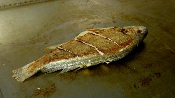 Clienţii, uimiţi de preţurile la peşte. "Cum să coste 40 de lei?"