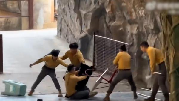 Momentul în care un urs pune la pământ un îngrijitor în China. Ar fi fost atras de mâncarea ascunsă în buzunar