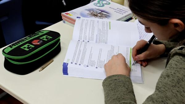 EXCLUSIV. Ministrul Educației anunță modificări la controversata programă nouă de Limba Română