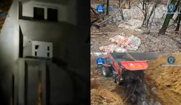Şase tone de resturi animale de la două abatoare, aruncate ilegal într-un pârâu din Argeș