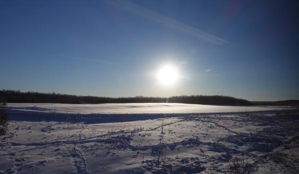 De ce ni se schimbă starea de spirit în timpul solstiţiului de iarnă. Explicaţia psihologilor