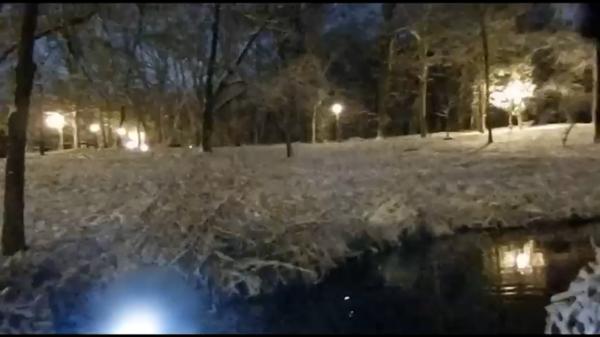 Urmărit de o haită de câini, un bărbat a căzut într-un lac dintr-un parc din Craiova
